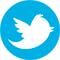 Logo Twitter